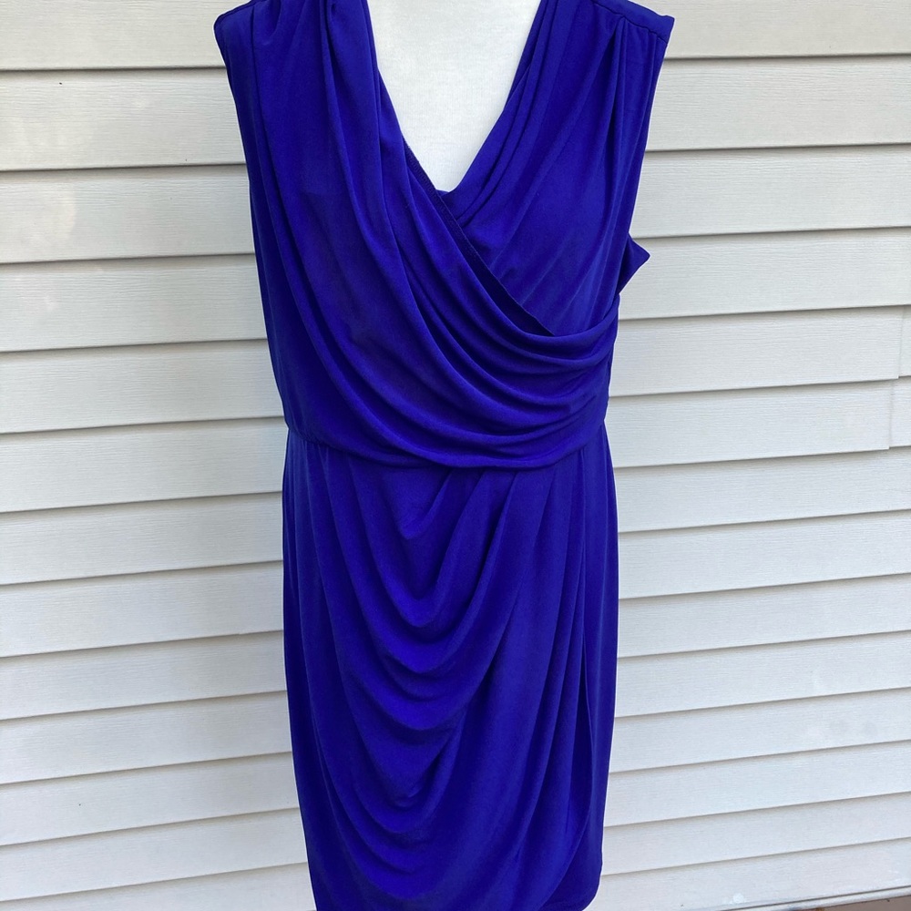 Suzy Chin for Maggy Boutique Dress size 16